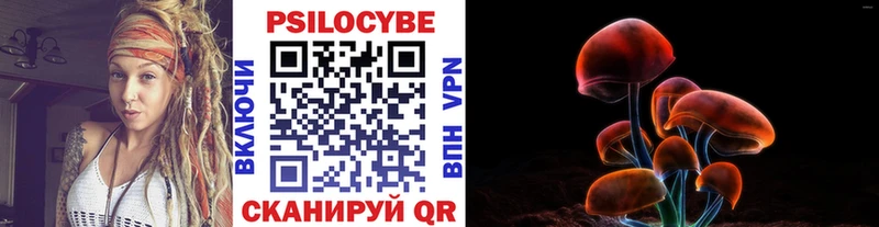 Псилоцибиновые грибы мицелий  Купить где  Ладушкин 
