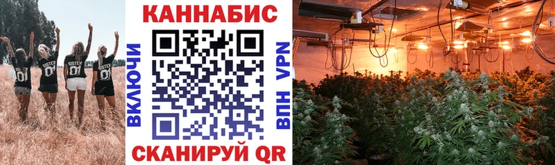 Бошки марихуана THC 21%  Купить закладки  Ладушкин 